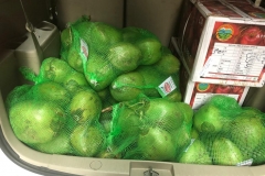 Food supplies for hospitals in Amritsar 2